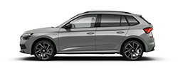 Skoda Kamiq de Ocasión
