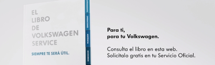 noticia VGRS